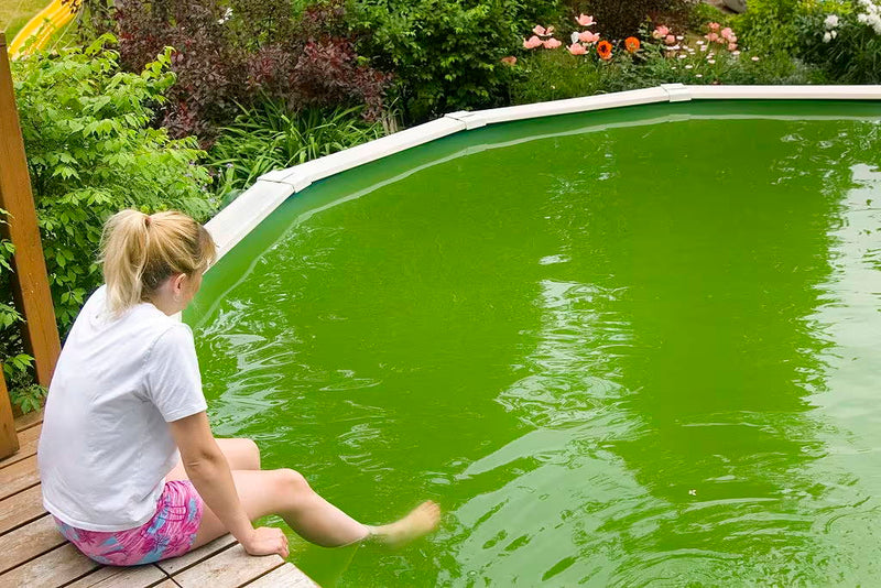 Five Common Causes for Green Pool water